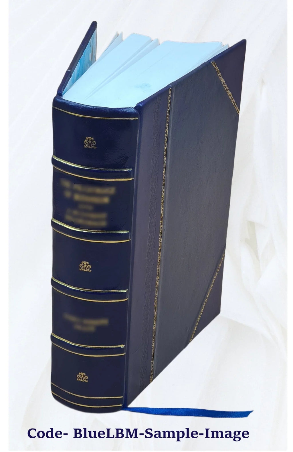 Sanctum Jesu Christi evangelium : secundum Matthaeum, secundum Marcum, secundum Lucam, secundum Joannem ; Acta apostolorum ([Reprod.]) 1531 [Leather Bound]