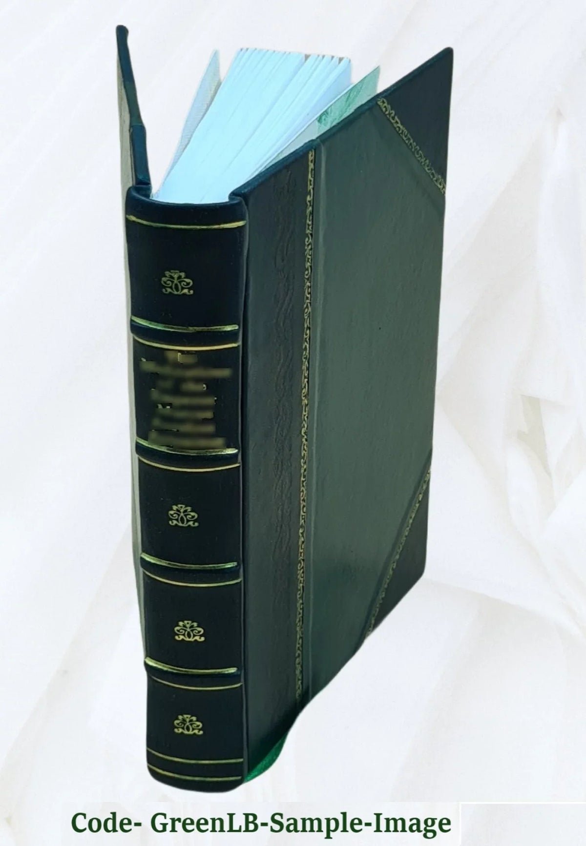Nobiliaire d'Auvergne ... / .-. Bouillet. Volume t.3 1846 [Leather Bound]