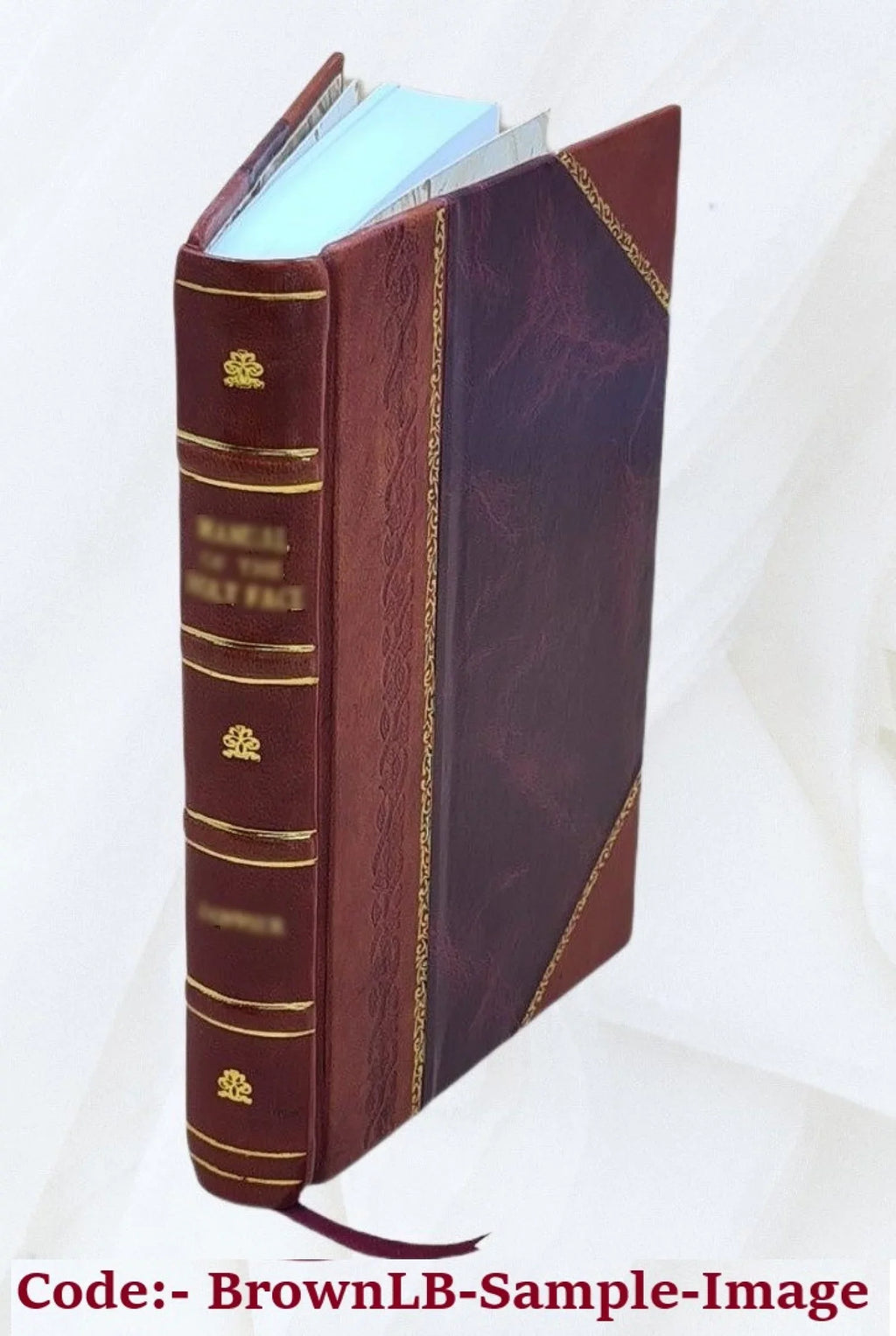 Stuttur Siða-Lærðomur fyrir góðra Manna Børn. Utlagður af Guðlaugi Sveinssyni. Asamt Viðbætir um Barna-Aga af Mag. Hasse.  útgáfa. 1838 [Leather Bound]