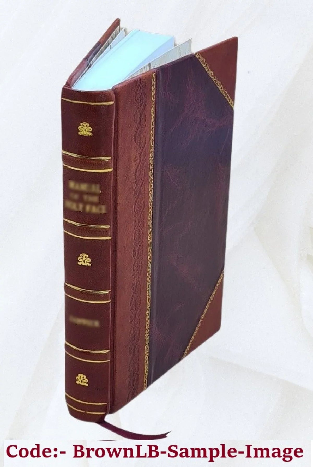 Nobiliaire d'Auvergne ... / .-. Bouillet. Volume t.3 1846 [Leather Bound]